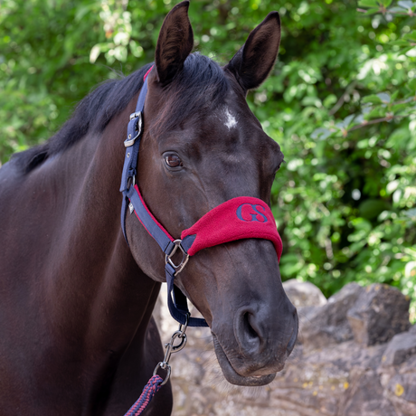GS Equestrian & Country Headcollar & Lead Rope Set