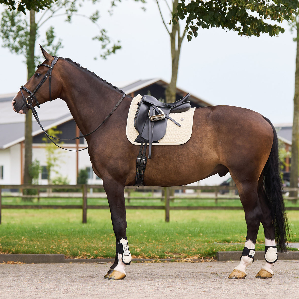 HV Polo Essential Dressage Saddle Pad #colour_cashmere