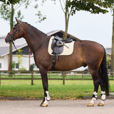 HV Polo Essential Dressage Saddle Pad #colour_cashmere