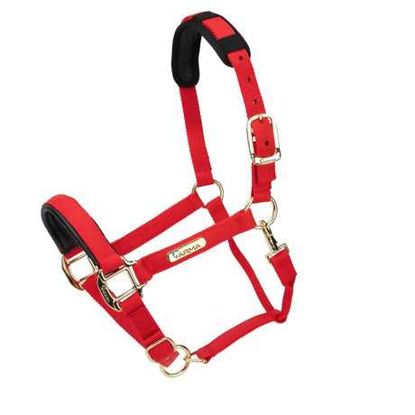 Shires Topaz Nylon Headcollar