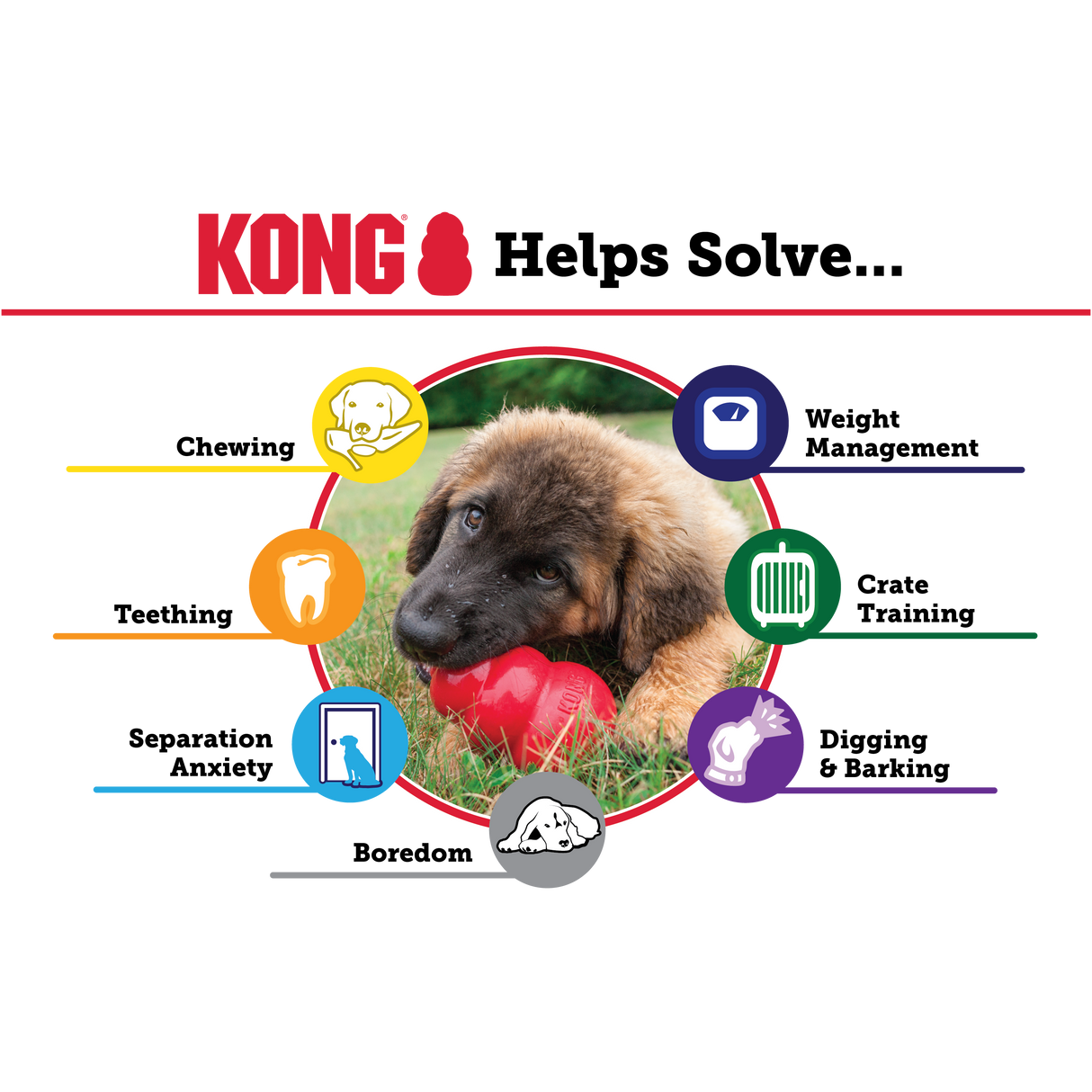 KONG Extreme #size_s