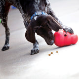 KONG Wobbler #size_l