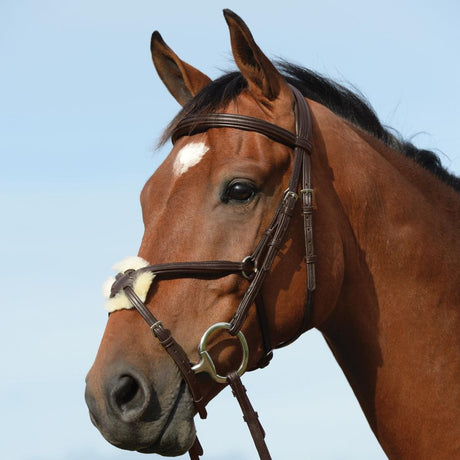 Collegiate Syntovia+ Raised Padded Figure 8 Bridle #colour_brown