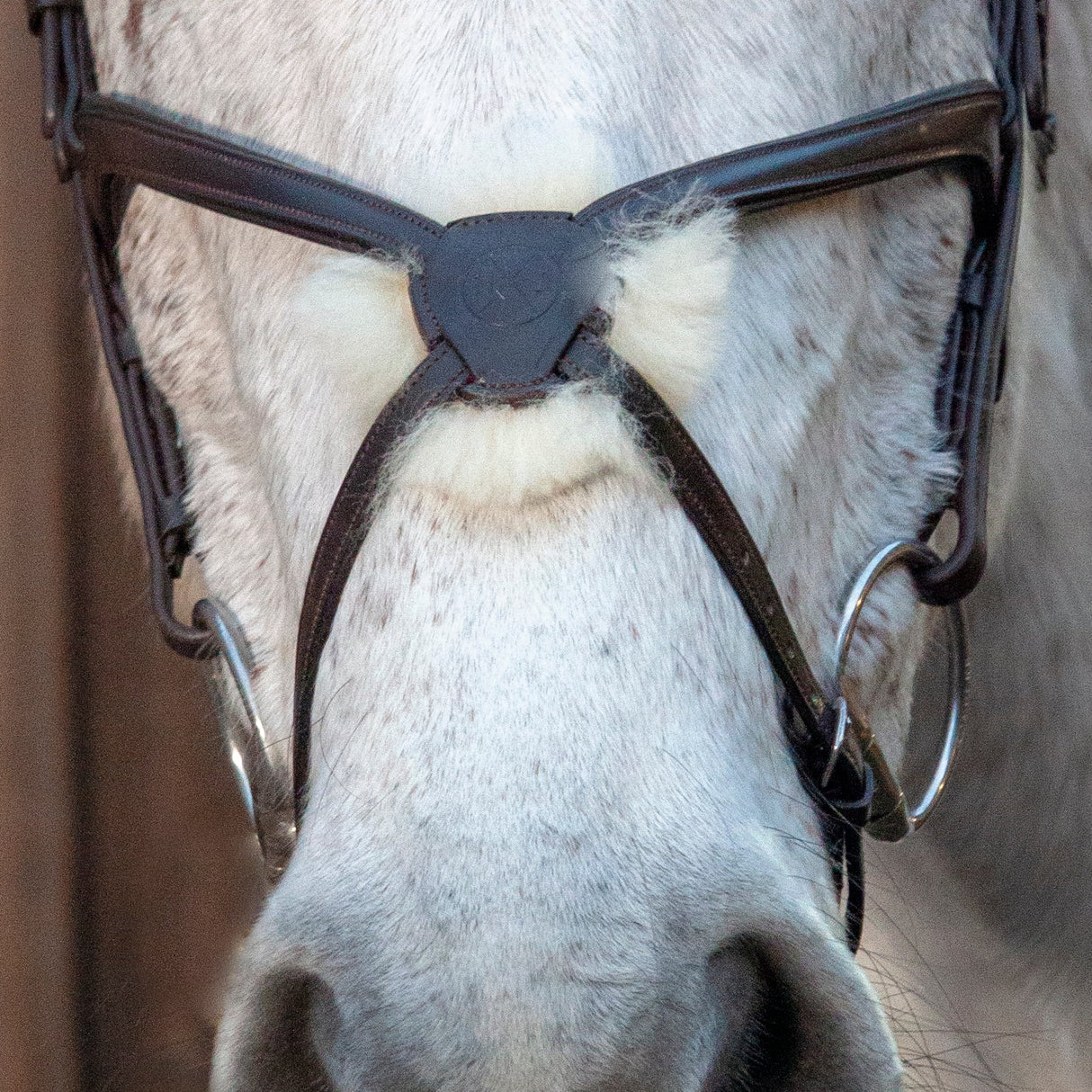 Henry James Figure 8 Sheepskin Grackle Noseband #colour_black