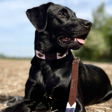 Pampeano Dog Lead #colour_hermoso