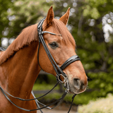 Sprenger Weymouth Bit "FC" Sensogan 18mm With 5cm Stainless Steel Cheeks