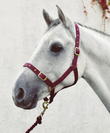 Mackey Economy Webbing Headcollar #colour_burgundy
