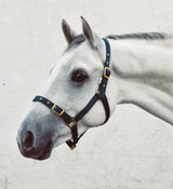 Mackey Economy Webbing Headcollar #colour_green