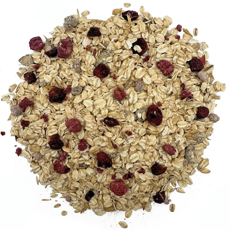 Natures Grub Afternoon Oats
