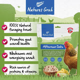 Natures Grub Afternoon Oats