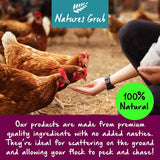 Natures Grub Afternoon Oats