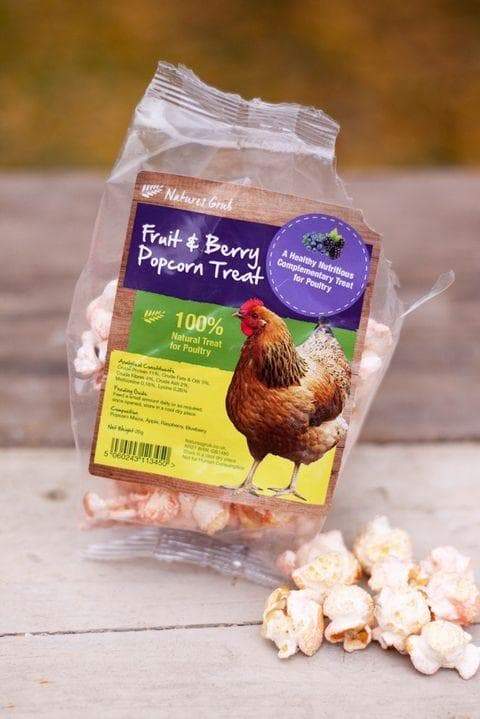 Nature's Grub Popcorn Treat with Fruit