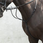 Mackey Equisential Running Martingale #colour_black