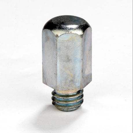 Liveryman Domed Studs