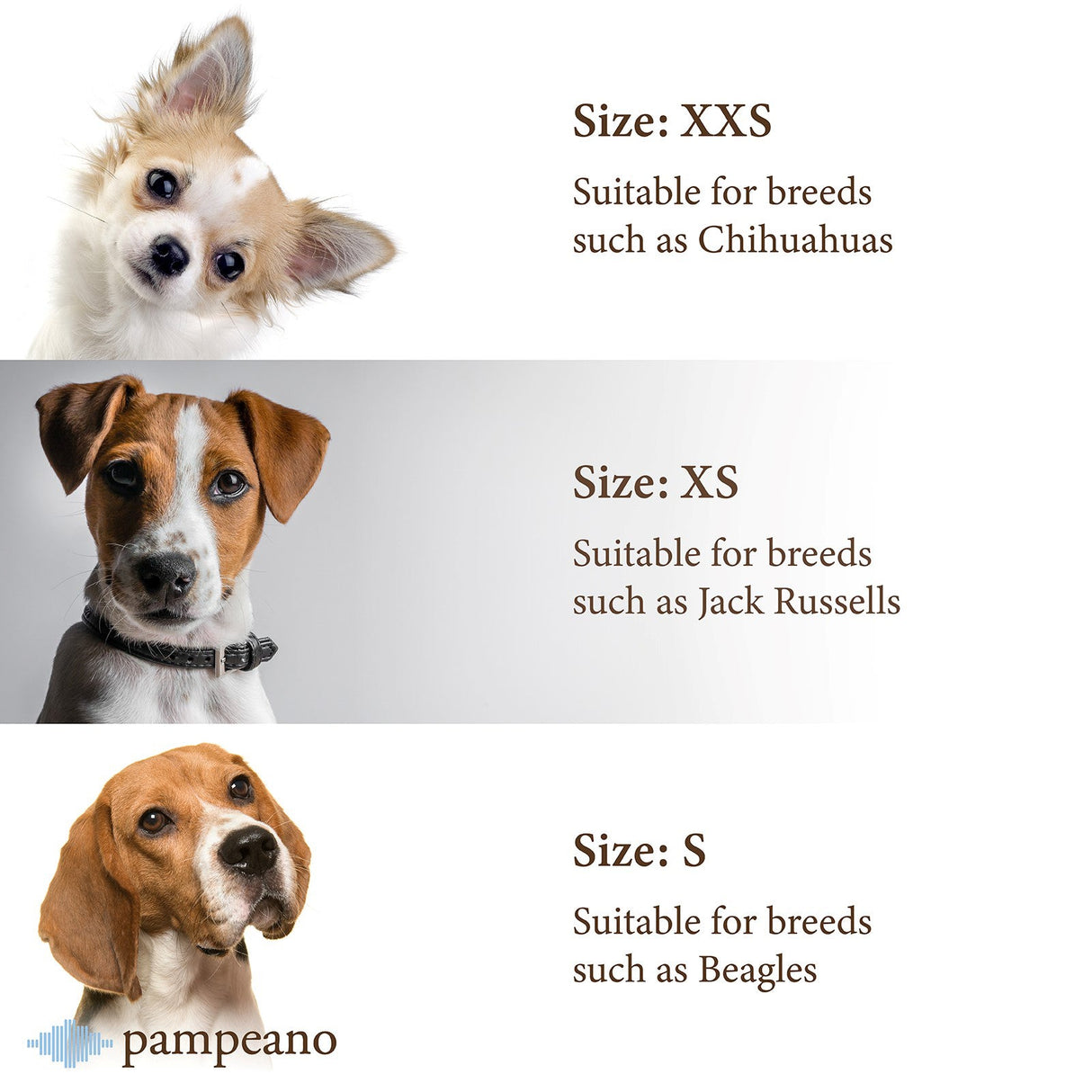 Pampeano Pampa Dog Collar
