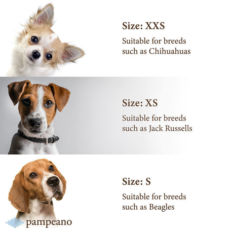 Pampeano Pampa Dog Collar