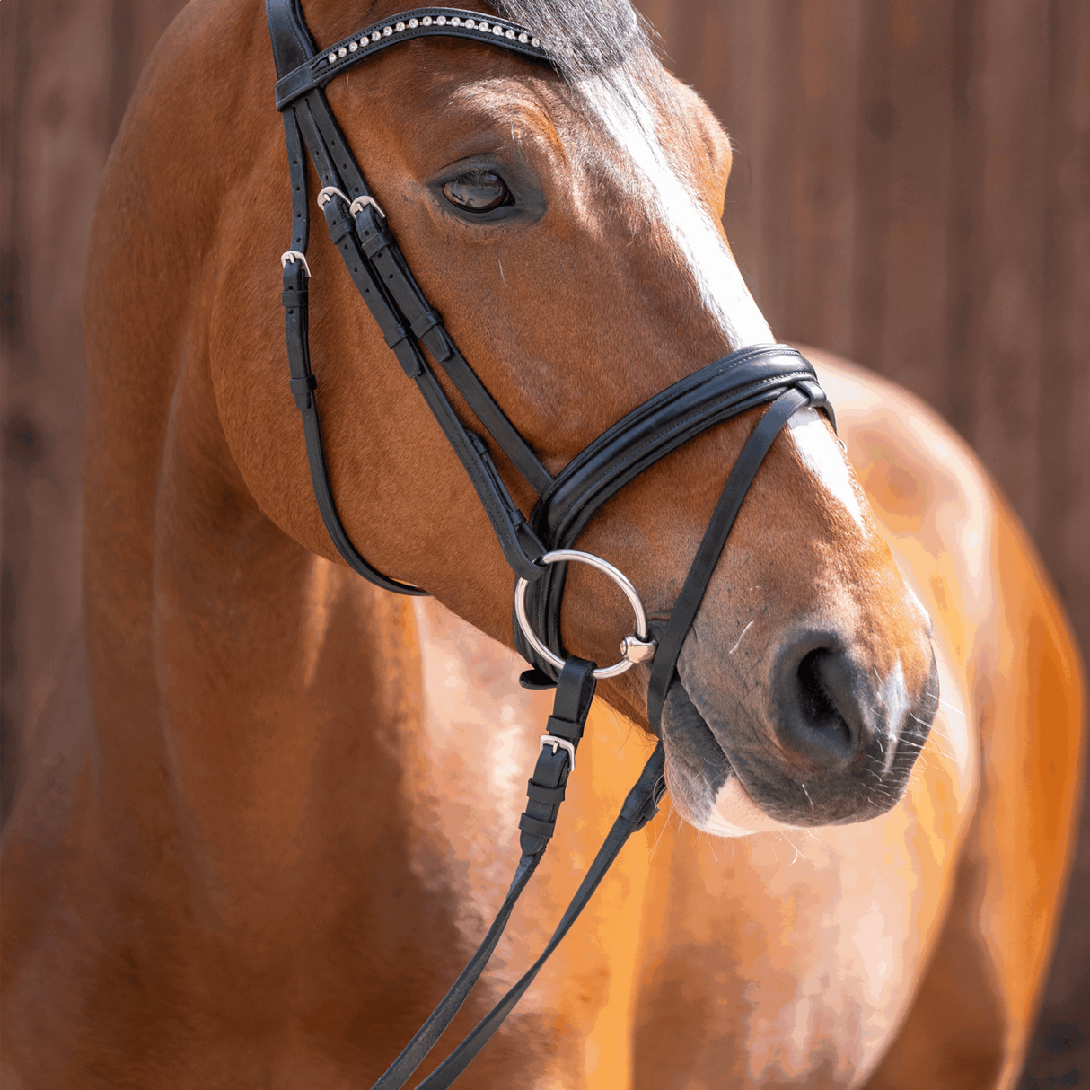 Sprenger WH Ultra 14mm Snaffle