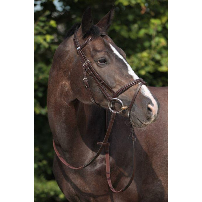 Stubben Leitrim 2300 Snaffle Bridle