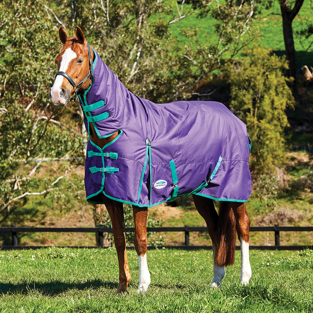 Weatherbeeta ComFiTec Essential Combo Neck Heavy Turnout Rug #colour_bright-purple-green