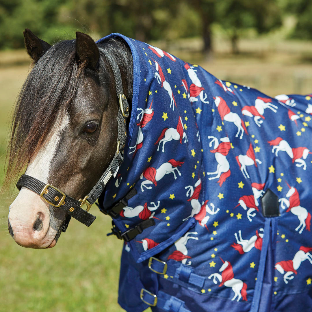 Saxon 600D Combo Neck Medium Weight Pony Turnout Rug