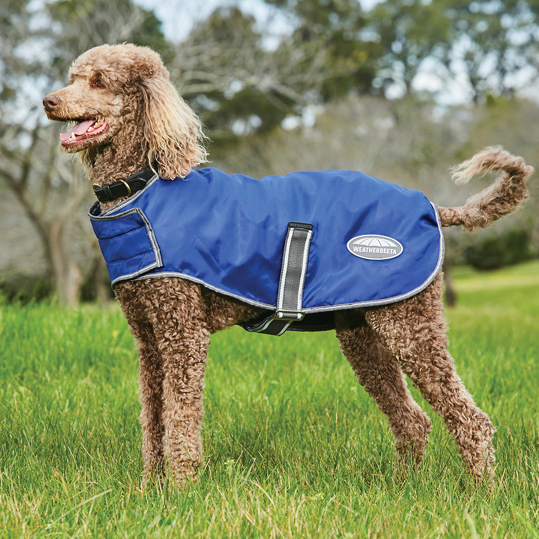 Weatherbeeta Comfitec Windbreaker Free Parka Dog Coat #colour_dark-blue-grey-white