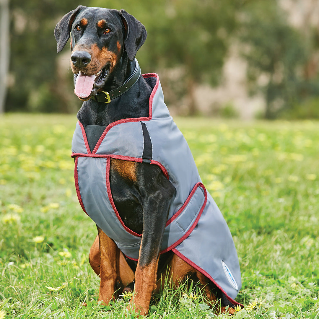 Weatherbeeta Comfitec Windbreaker Free Parka Deluxe Dog Coat #colour_grey-burgundy