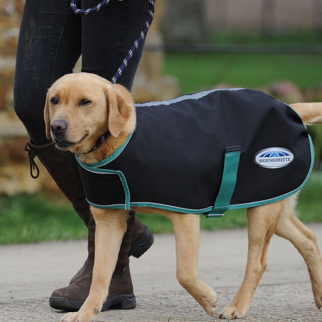 Weatherbeeta Green-Tec 900D Dog Coat Lite Plus #colour_black-bottle-green