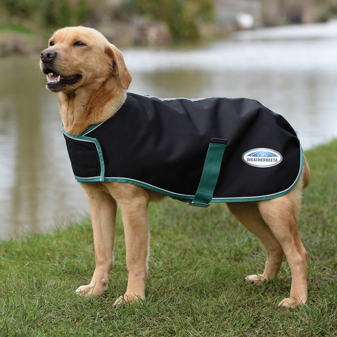 Weatherbeeta Green-Tec 900D Dog Coat Medium #colour_black-bottle-green