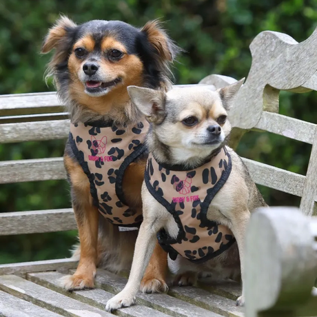 Shires Digby & Fox Leopard Print Harness #colour_leopard