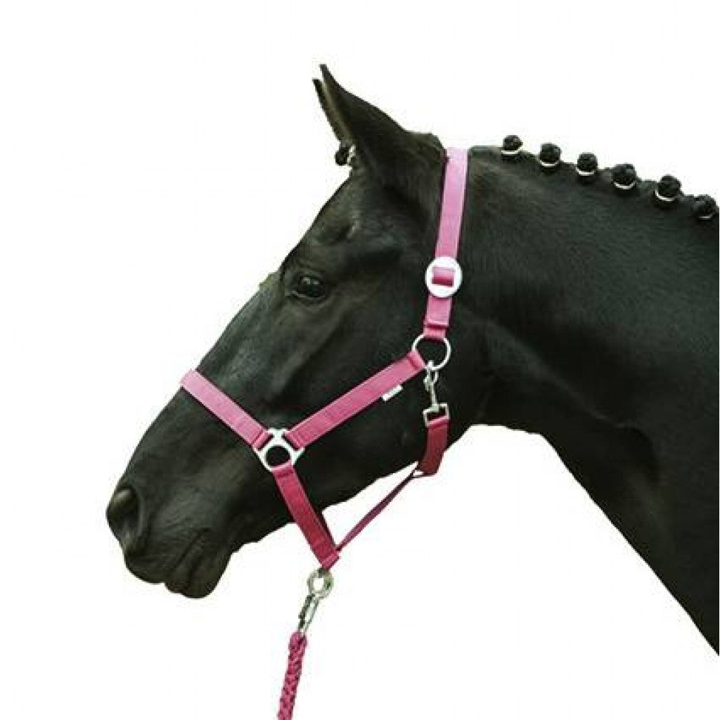 HKM Head collar -Stars Economy Softice-