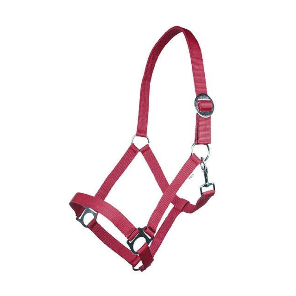 HKM Head collar -Stars Economy Softice-