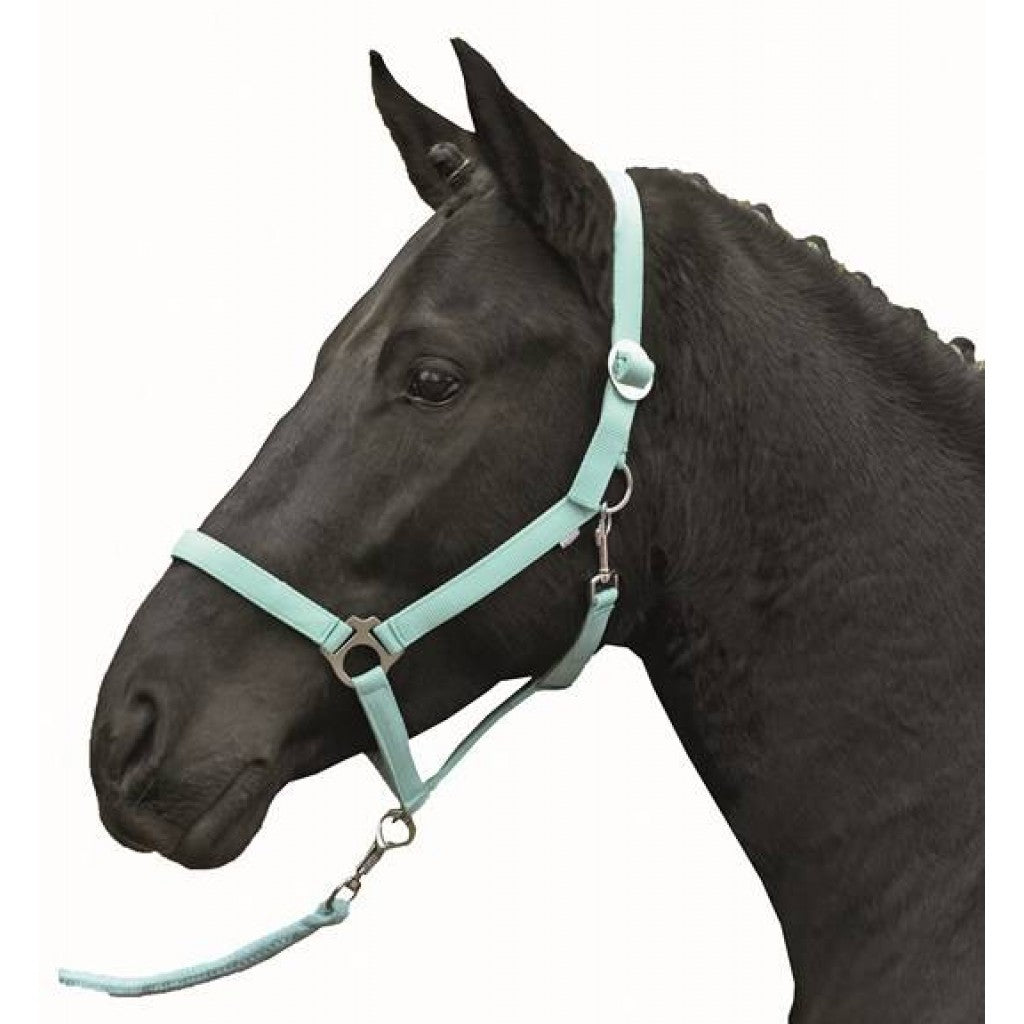 HKM Head collar -Stars Economy Softice-