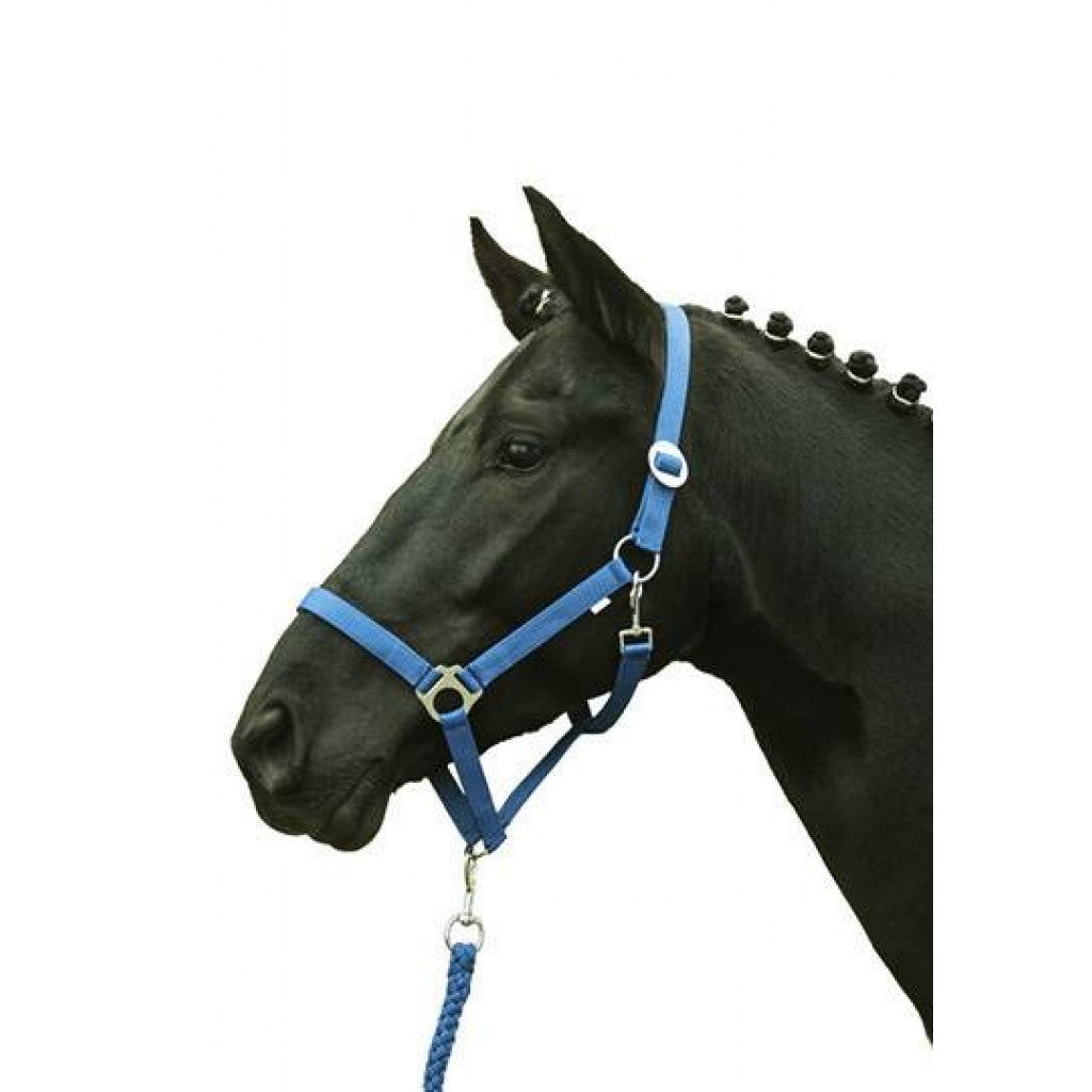 HKM Head collar -Stars Economy Softice-
