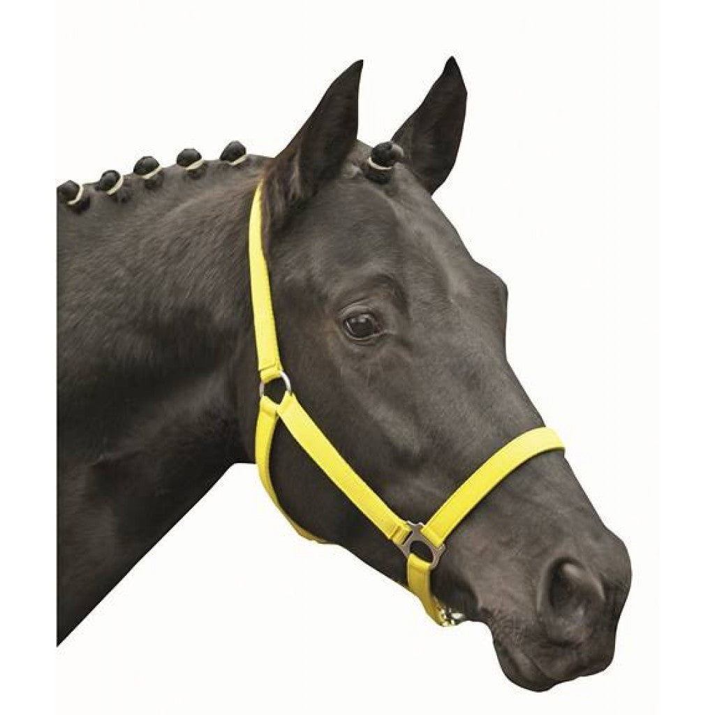 HKM Head collar -Stars Economy Softice-