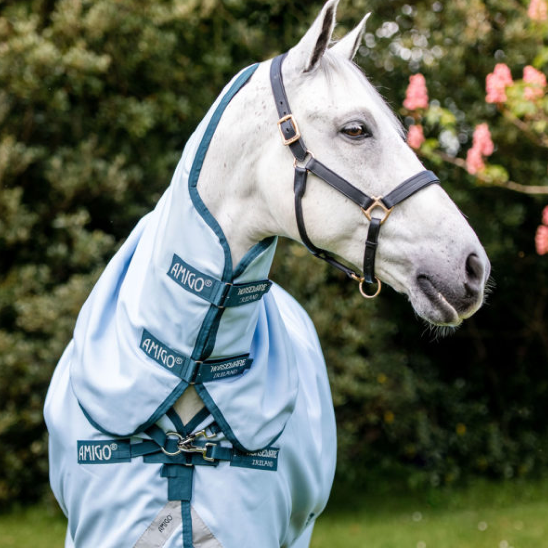 Horseware Ireland Amigo Plant Dye Turnout Rug #colour_blue-navy