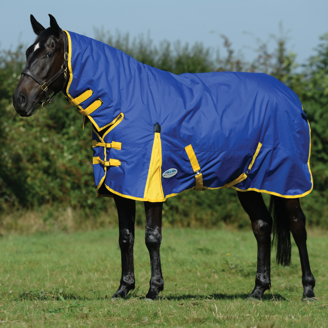 Weatherbeeta ComFiTec Classic Combo Neck Medium Turnout Rug #colour_blue-lemon