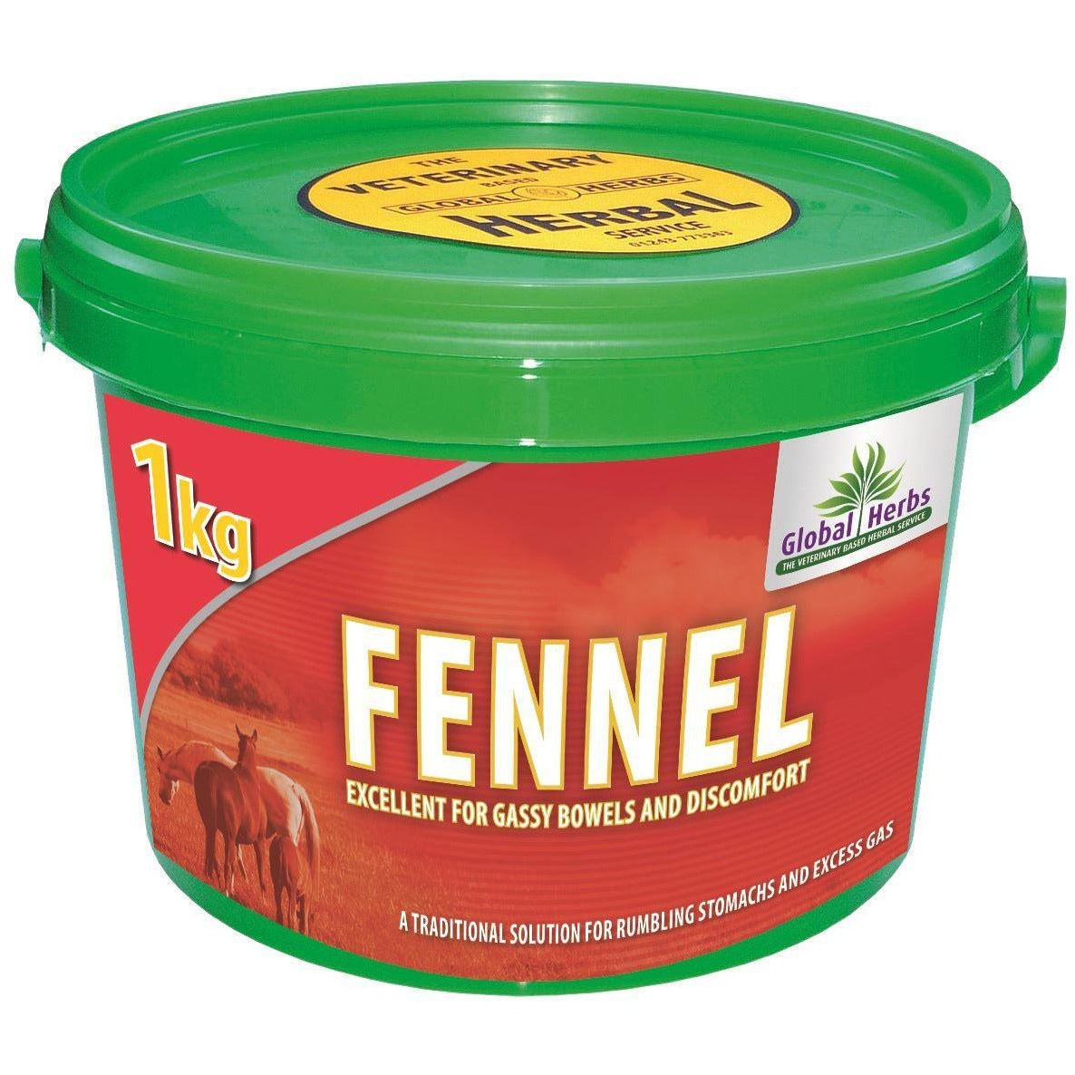 GLOBAL HERBS Fennel 4744
