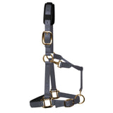KM Elite Padded Headcollar #colour_grey