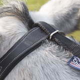 Shires Daisy Rein