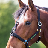 Shires Greenguard Headcollar #colour_black