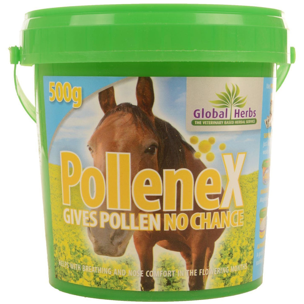 Global Herbs Pollenex