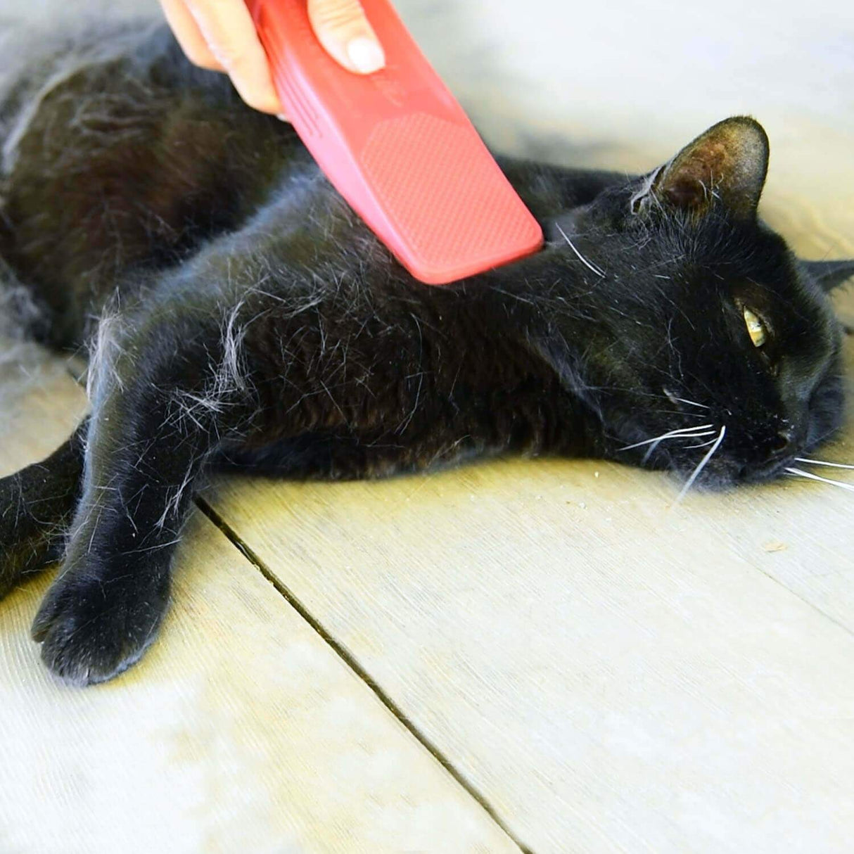 StripHair Gentle Groomer