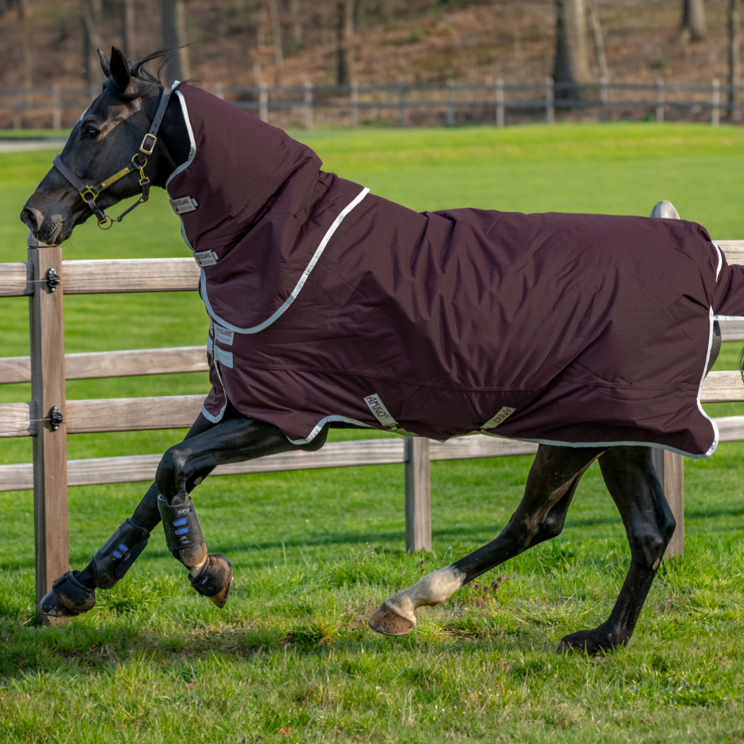 Horseware Ireland Amigo Hero 600D With Ripstop Plus 200g #colour_fig-silver