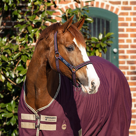Horseware Ireland Amigo Headcollar
