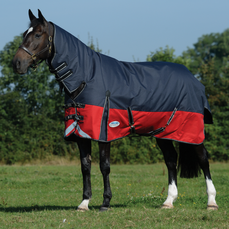 Weatherbeeta Comfitec Plus Dynamic II Combo Neck Medium/Lite #colour_black-red-silver
