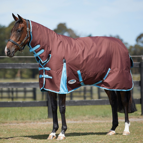 Weatherbeeta ComFiTec Classic Combo Neck Medium Turnout Rug #colour_chocolate-light-blue