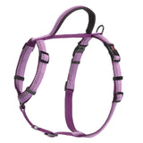 HALTI Walking Harness