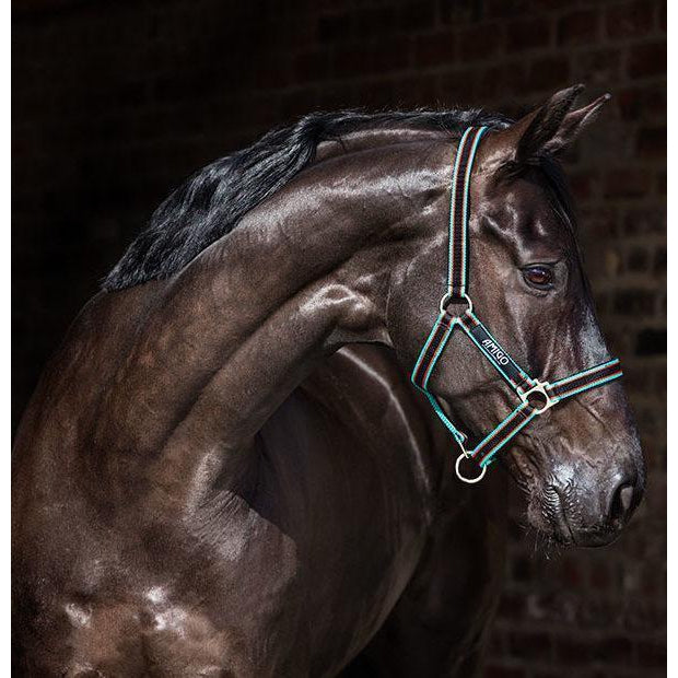 Horseware Ireland Amigo Headcollar