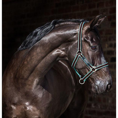Horseware Ireland Amigo Headcollar