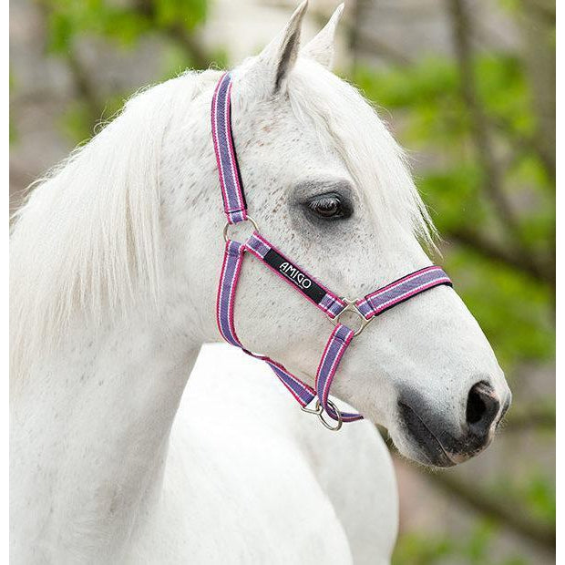 Horseware Ireland Amigo Headcollar